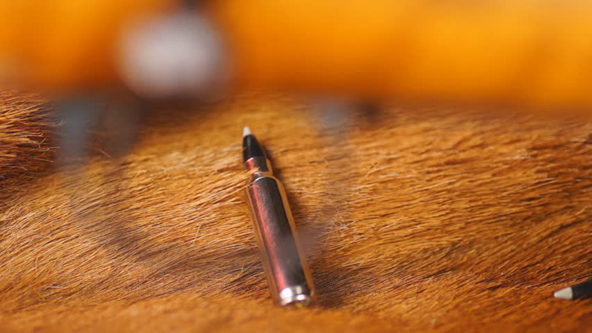 American Hunting Rifle and Ammunition, focus from gun bolt, through trigger, to bullet