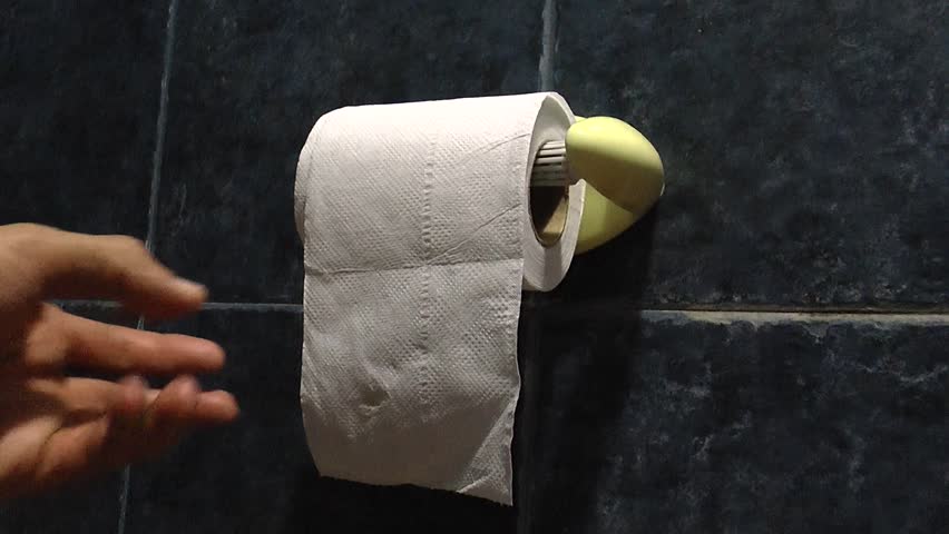 taking toilet paper 