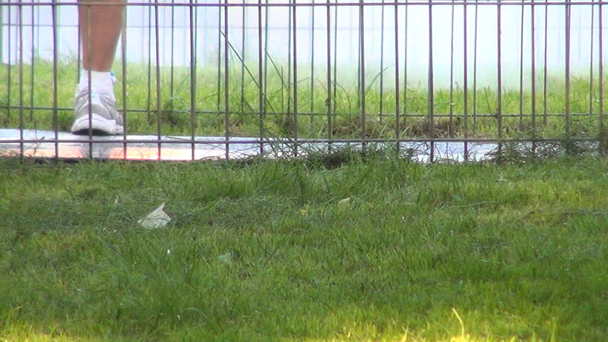 Disinfection in Park, Cleaning against Pest Insects, Parasite, Ticks, Hoppers