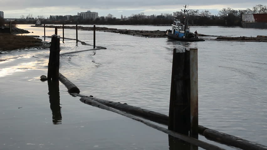 Tug Boats and Log Boom on the Fraser River. Early morning on the Fraser River as tug boats maneuver a log boom up river. Vancouver, British Columbia, Canada.
