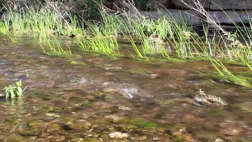 Fresh water spring stream