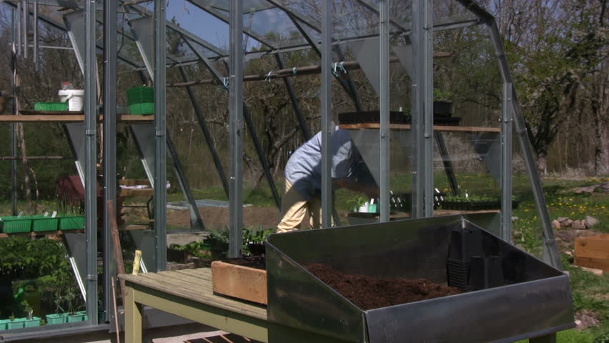 gardener working with plants