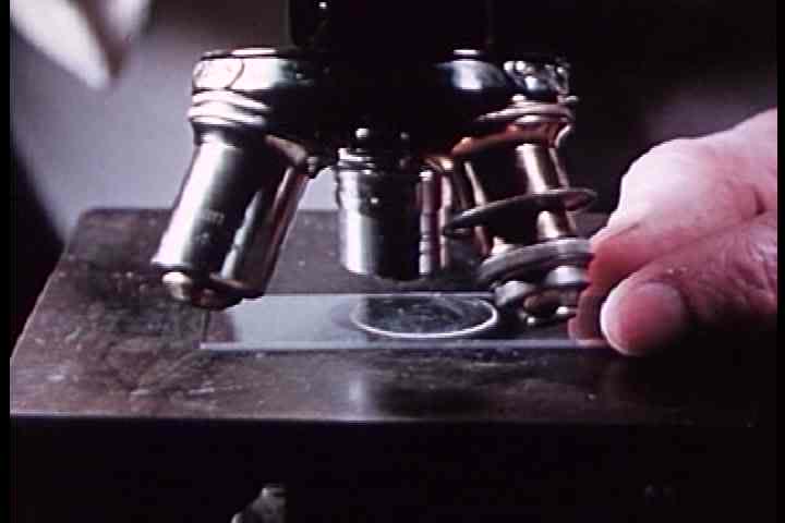 1940s - Meat is tested under the microscope in this 1942 film about trichinosis and food poisoning.