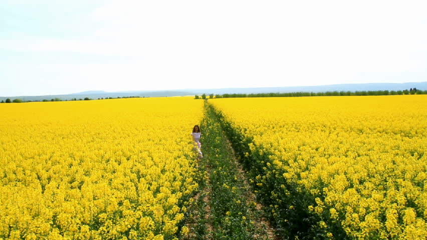 Young Woman in Vintage Dress Walking Down Path Yellow Flowers Spring Field HD