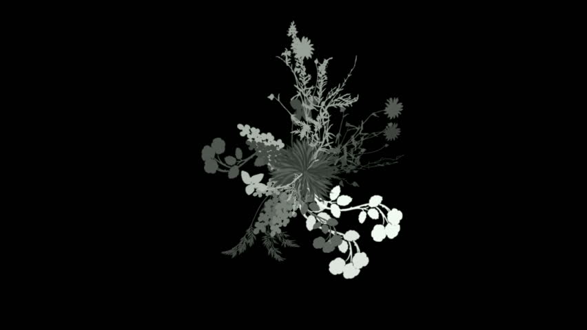 flower & plant growing.