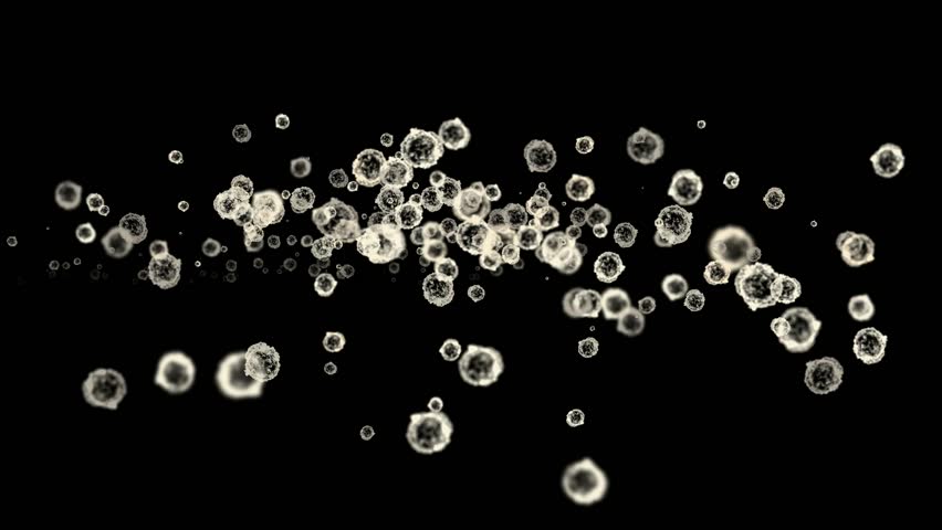 cells & virus,dust particles.