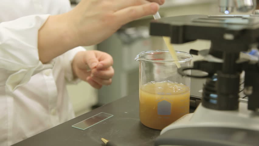 Moving (dolly) shot of a real laboratory research technician placing a sample drop on a slide and placing it under a microscope.