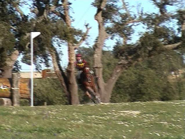 Horseman galloping and jumping