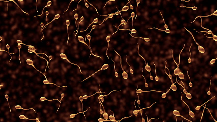 Generated sperm animation.