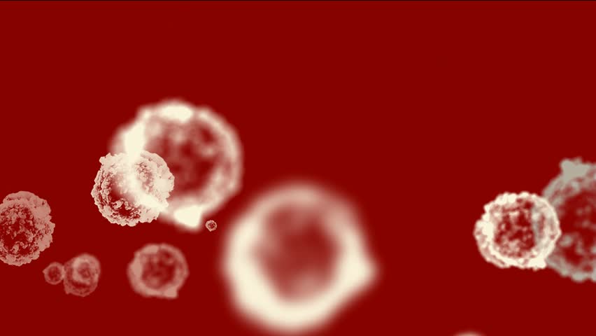 cells & virus,dust particles.
