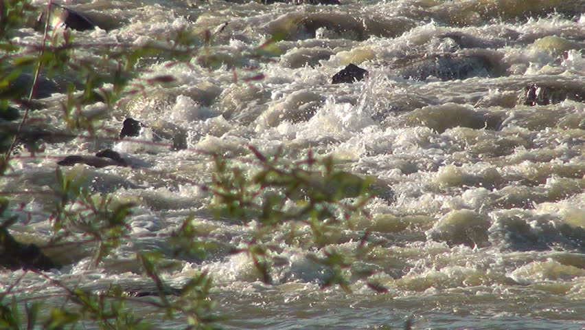 Mountain River, Stream, Creek