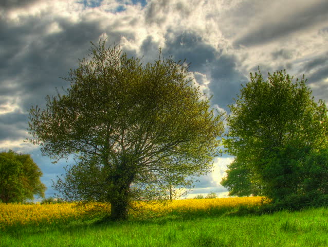 Clouds passing over green prairie, HD time lapse clip, high dynamic range imaging 