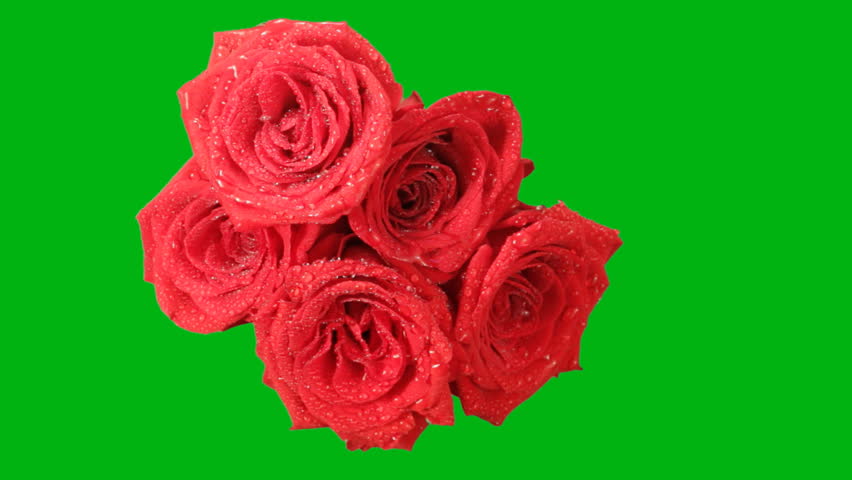 Bouquet of red roses on a green background