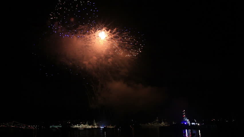 Beautiful fireworks in the night sky