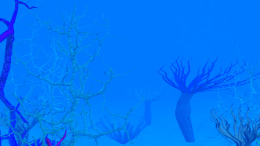 Swimming on reef 