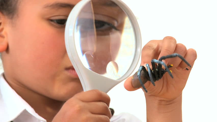 Cute african american schoolgirl examining plastic spider