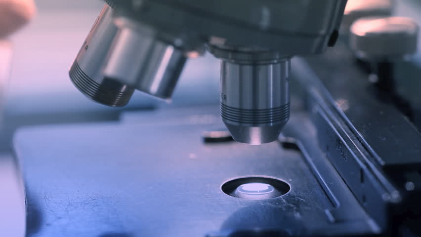 A scientist places a slide on the specimen stage of a laboratory microscope and then makes adjustments to the focus.