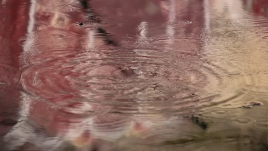 Water drips into red and purple puddles. Graffiti reflections. Two shots.