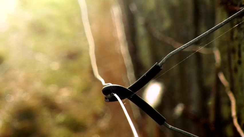 Old barb wire fence Clip 5