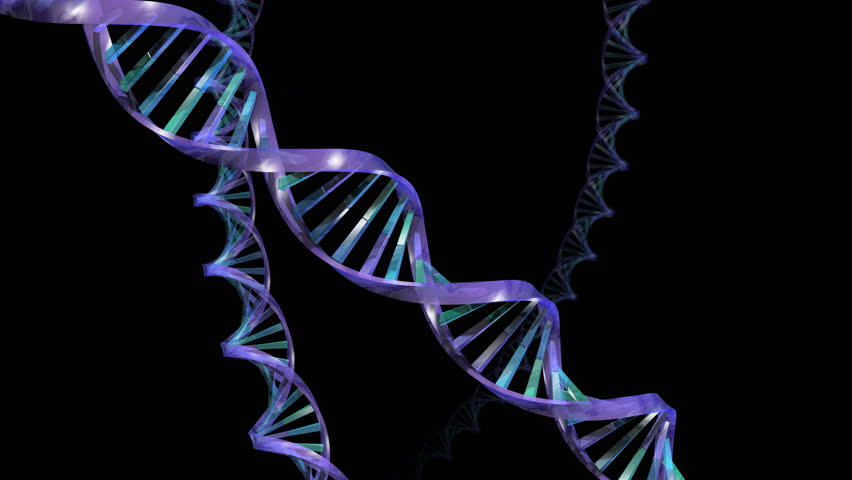 DNA images. "DNA_B2"