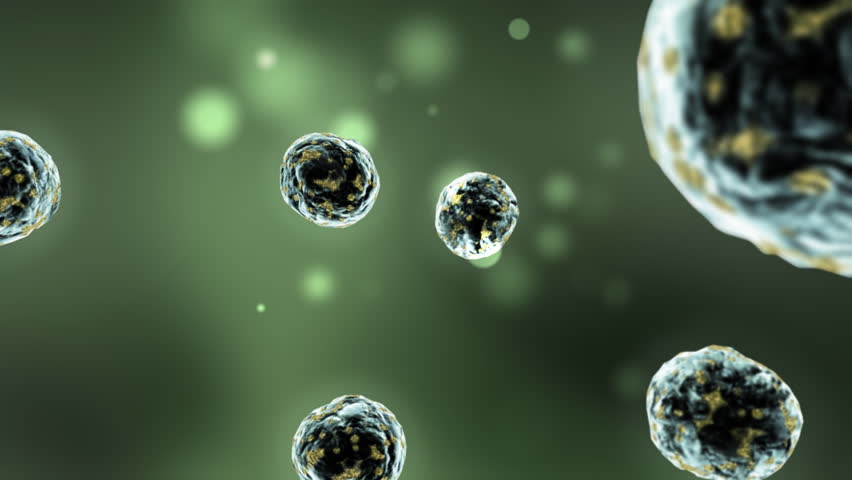 3-d animation of infected cells multiplying