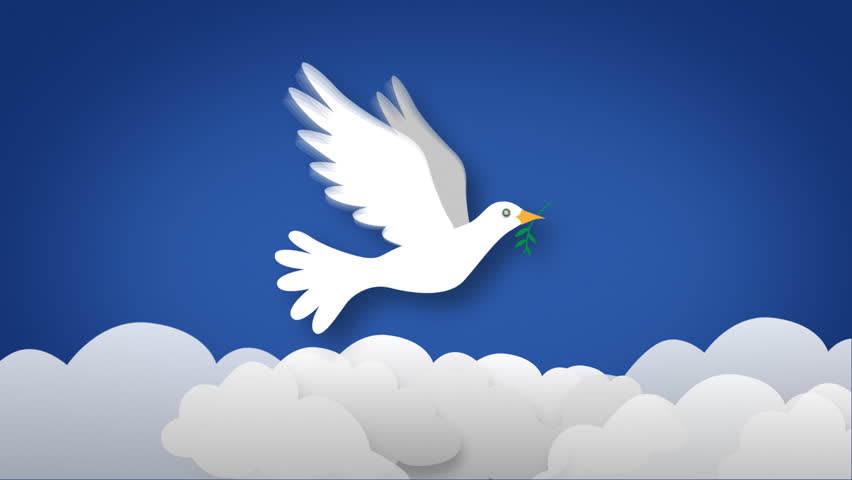 Bird Of Peace Zoom To Earth