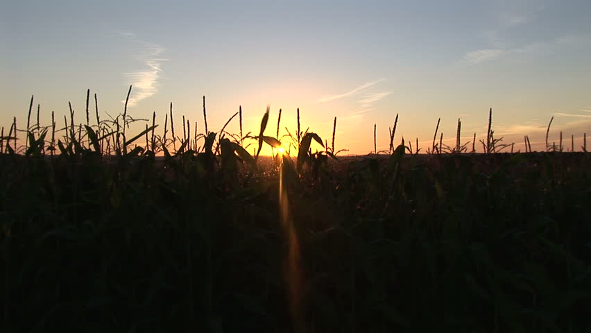 Agriculture