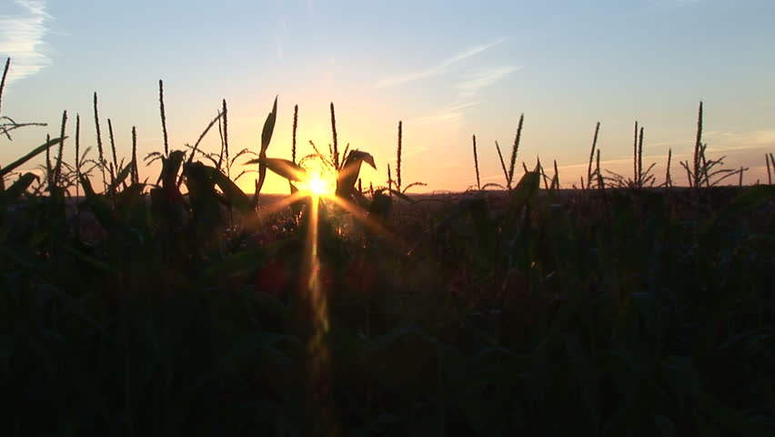 Agriculture