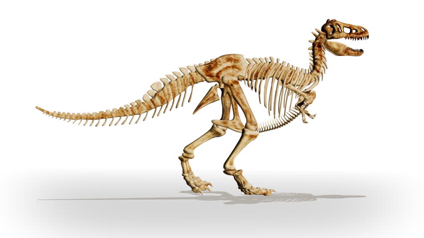 Header of Dino