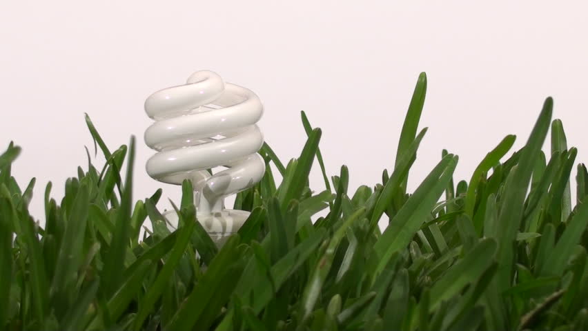 Energy saving light-bulb in grass