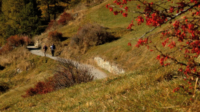 Fall in an alpine meadow, Zermatt, with hikers