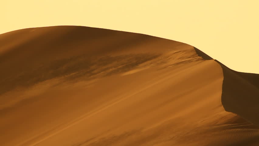 beautiful sand dune with wind