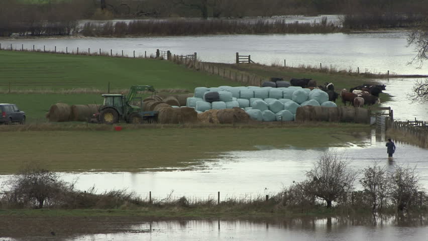 Flooded farmland. People survey damage. HD.