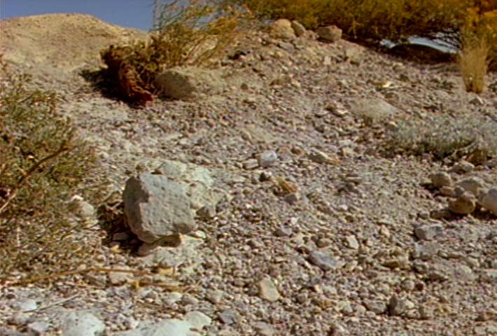 Simulated earthquake - ground cracks open.