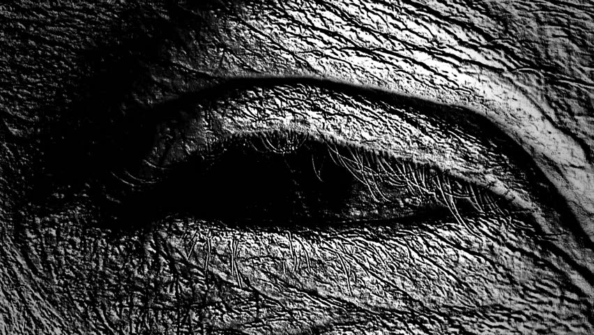 Human eye opening wide, transformed to look very strange. Black and white, slight slow motion.
