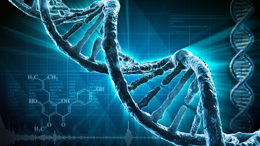 DNA strand
