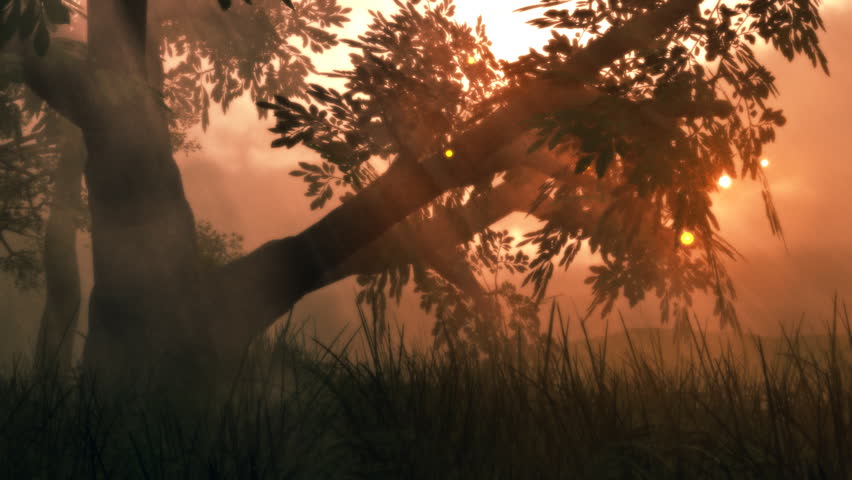 Great fantasy animation of fairy firefly lights dancing ancient wooded glen. 