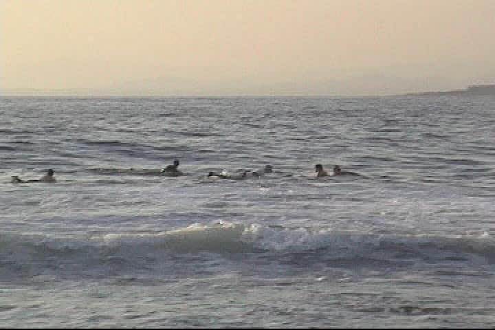 A surfer catches a wave
