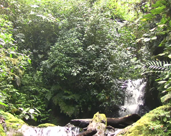 Waterfall in the Nambillo Valley, Ecuador