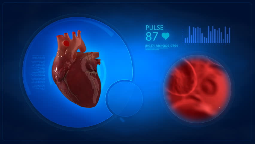 Medical display - human heart beat concept part 2