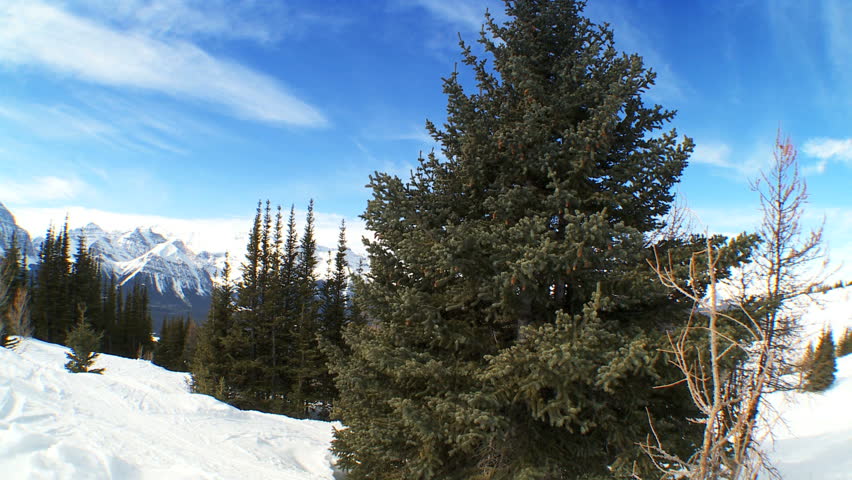 Crossed carver downhill skis standing in fresh clean snow high in scenic mountain landscape