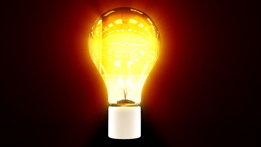 Tree growing inside flashing colorful bulb