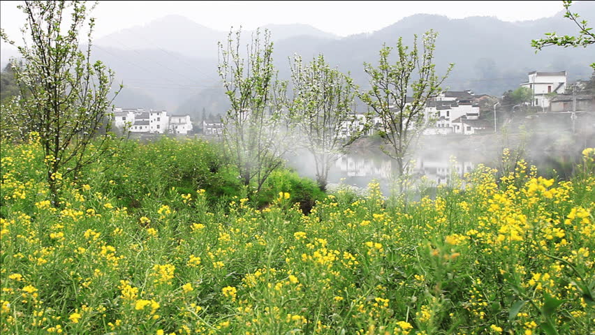beautiful old village in China, timel apse of morning mist crossing over river .