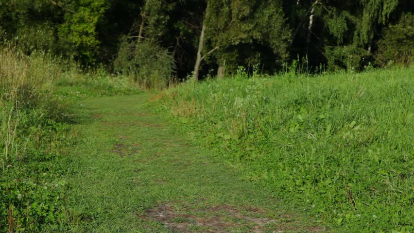 father helps a little daughter riding bicycle in summer park 