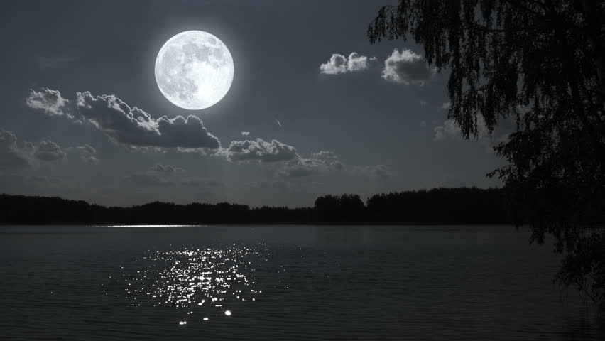 Full Moon Night Landscape With Forest Lake Stock Footage Video 7229680
