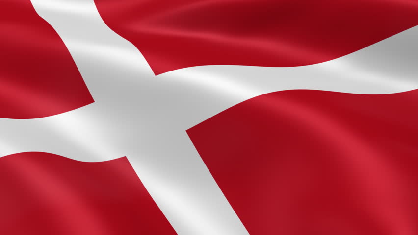 Image result for danish flag