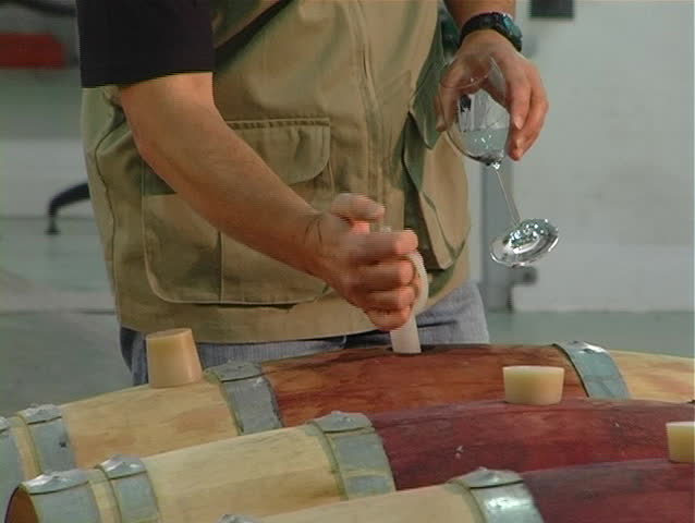 A winemaker draws a sample of wine from a maturing cask
