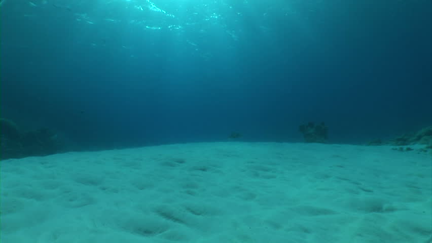 Underwater sunbeams shooting into depths of a tropic sea