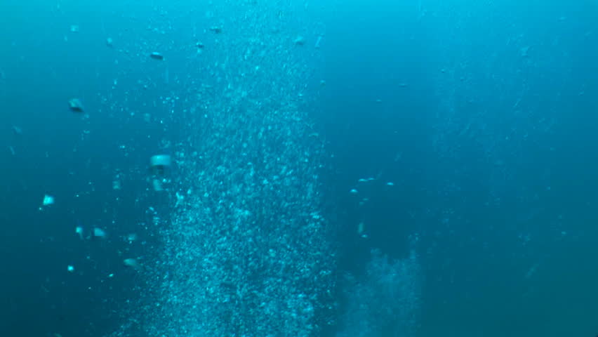 Millions of bubbles float upward in water