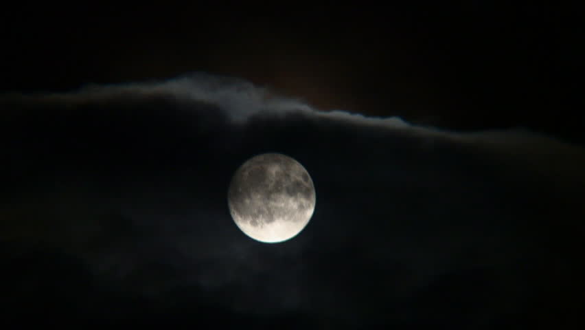 Full Halloween moon behind scary vulture perched on dead tree limb